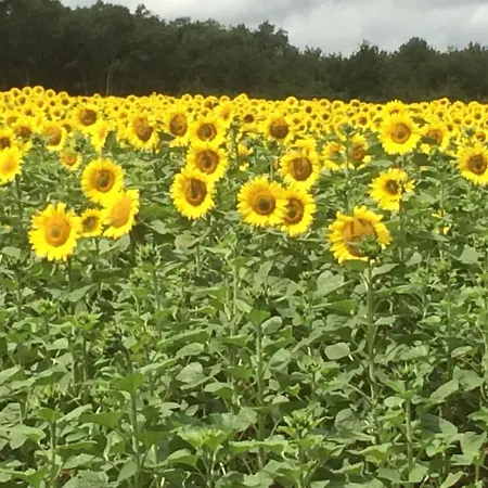 La Vieille Fromagerie Hébergement de vacances Brux