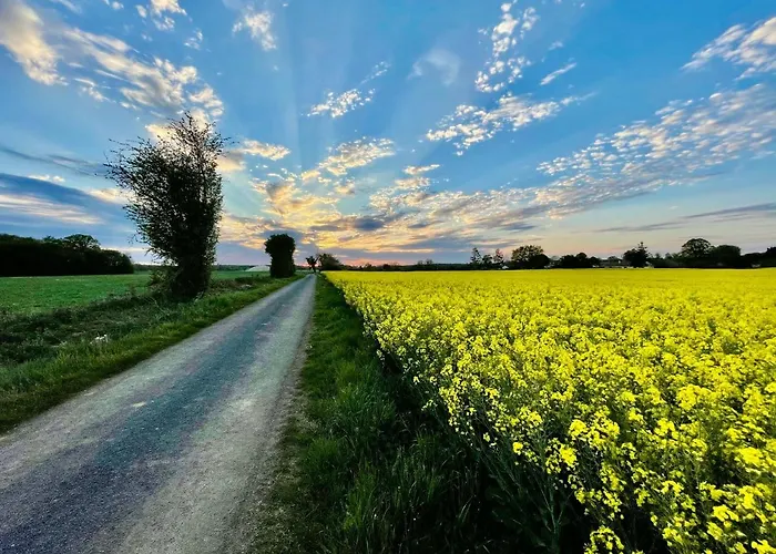 La Vieille Fromagerie * Brux